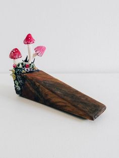 two mushrooms sitting on top of a piece of wood