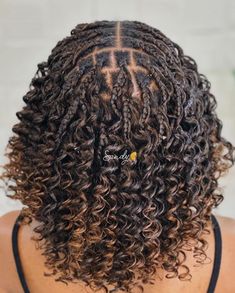 Curly Knotless Bob Braids with Highlights Curly Braid Bob, Knotless Bob Braids Hairstyles, Very Short Braids, Curly Braided Bob, Shoulder Length Box Braids Curly Ends, Curly Bob Braids, Bob Braids With Curls, Curly Short Braids, Curl Braid Hairstyles