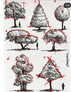 how to draw trees with pencils