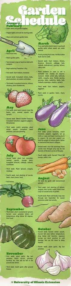 a poster showing different types of vegetables and how to use them in the vegetable garden