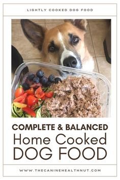 a dog with food in it's mouth and the words, complete & balanced home cooked dog food