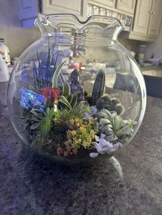 a glass vase filled with plants on top of a counter