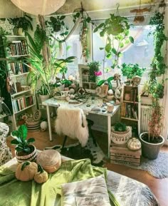 a room filled with lots of potted plants and greenery on top of windowsills