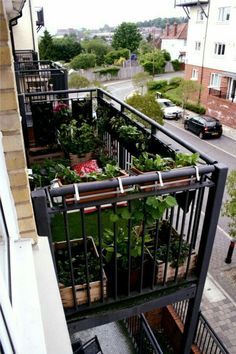 an apartment balcony with potted plants on the balconies and cars driving by