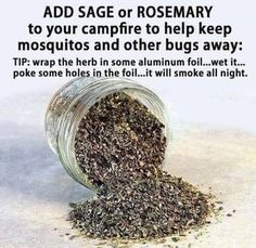 a jar filled with lots of green stuff next to a person's face and the caption says, did you know that by adding sage or rosemary to your campfire it can help mosquito