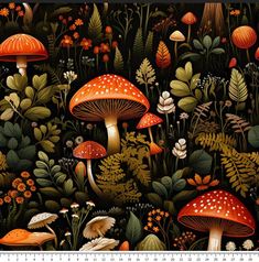 an image of a forest with mushrooms and plants on it's side, as well as a ruler