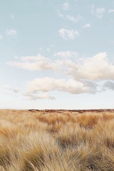 an open field with grass and clouds in the sky