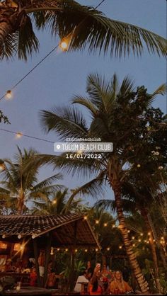 palm trees and string lights hang from the roof of a restaurant in an island setting