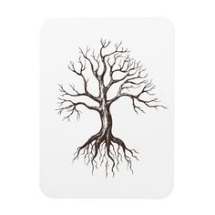 a black and white drawing of a tree with no leaves