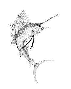 a black and white drawing of a fish with long legs on it's tail