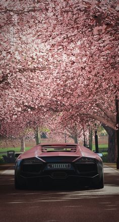 a red sports car driving down a street next to trees with pink flowers on them