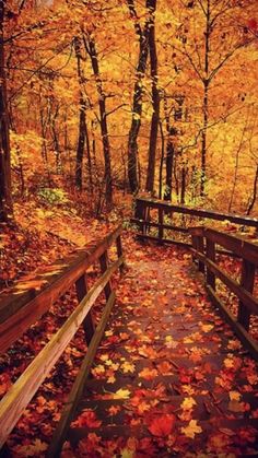 an autumn scene with leaves on the ground and a wooden bridge in the foreground