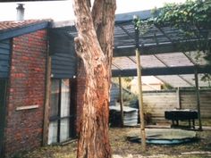 an old tree in front of a brick building with a patio and pergolated roof