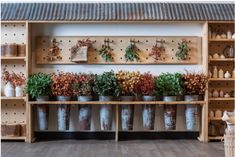 a room filled with lots of potted plants next to shelves full of vases