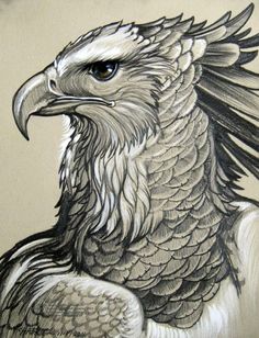 a drawing of an eagle with feathers on it's head