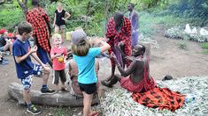 several children are gathered around a campfire in the woods