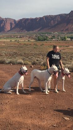 three dogs are standing in the dirt near a woman and her two other dogs is sitting down