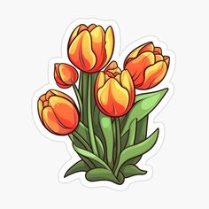 orange tulips sticker on a white background