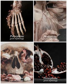 four different types of human bones and their functions in the body, with text describing them