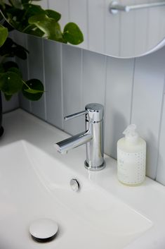 a bathroom sink with soap dispenser next to it and a potted plant in the corner