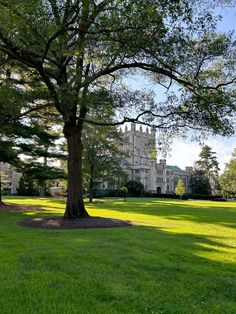 a large building sitting on top of a lush green field next to a tree in front of it