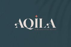 the word aoila is written in white on a dark blue background with a red star