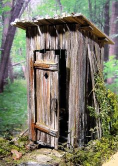 an old outhouse in the woods with moss growing on it's roof and door