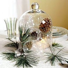 a glass dome with pine cones on it