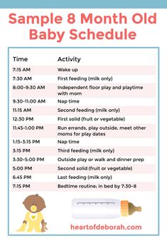 a baby schedule for the month of birth with an image of a teddy bear holding a pacifier