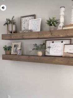 some shelves with pictures and plants on them