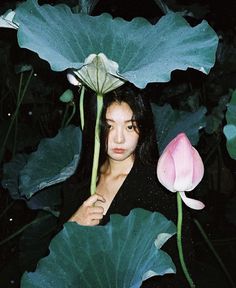 a woman is hiding behind large green leaves with a pink flower in her hand and looking at the camera