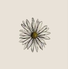 an image of a white flower on a gray background