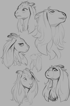 some drawings of different animals with long hair