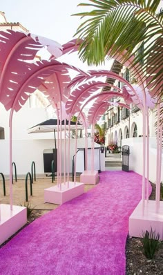 an outdoor area with pink carpet and palm trees on either side of the walkway that is lined with white benches