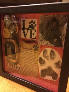 a dog's paw prints are displayed in a shadow box with the words love