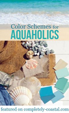 the cover of color schemes for aquaholics, featuring seashells and shells