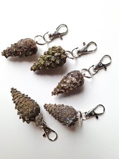 five different types of pine cones are shown on a white surface with silver metal hooks