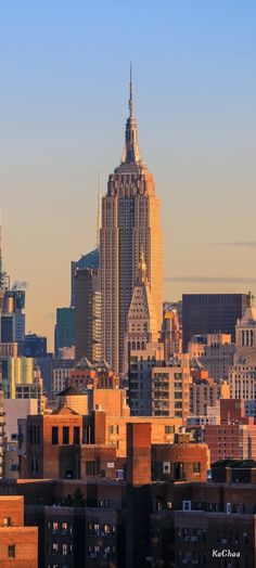 the skyline of new york city with skyscrapers in the background