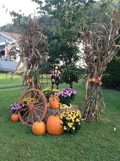 an arrangement of pumpkins, flowers and scarecrows on display in the yard