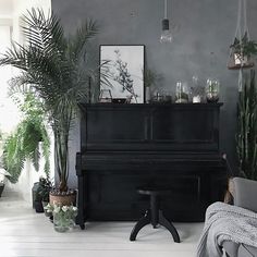 a living room filled with lots of plants next to a black piano in front of a window