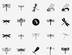 the dragonflys are drawn in black and white