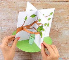 someone is holding an open card with a tree and leaves on it, while the paper has been cut out