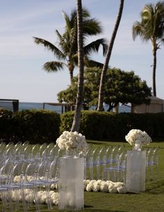 rows of clear chairs with white flowers on them in front of palm trees and the ocean