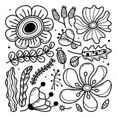 black and white drawing of flowers, plants and other things that are drawn by hand