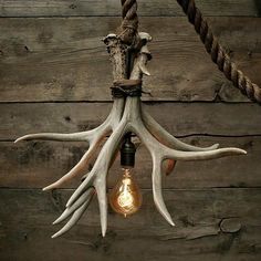 an antler lamp hanging from a rope on a wooden wall