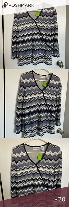 Alfred Dunner Zig Zag Striped V-Neck Sweater - Size M Alfred Dunner Sweaters, Alfred Dunner, V Neck Sweater, Zig Zag, Blue Gray, Vneck Sweater, Neck Sweater, Sweater Sizes, Fashion Inspo