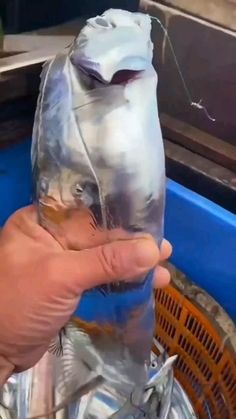 a person is holding something wrapped in foil over a trash can filled with plastic bags