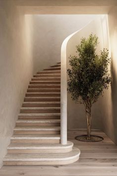 lime wash, lime paint, plaster Travertine Stairs, Deco Spa, Limewash Paint, Lime Paint, Stair Case, Wall Paint Designs, Modern Staircase, Staircase Design, Textured Wall