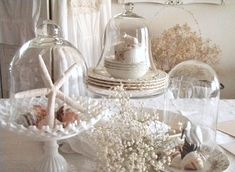 a table topped with plates and cloches filled with shells