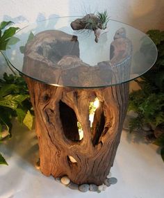 a glass table that has some plants on top of it and two birds in the tree stump